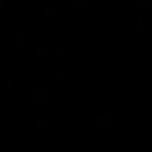 Meet your Posher, Lexi